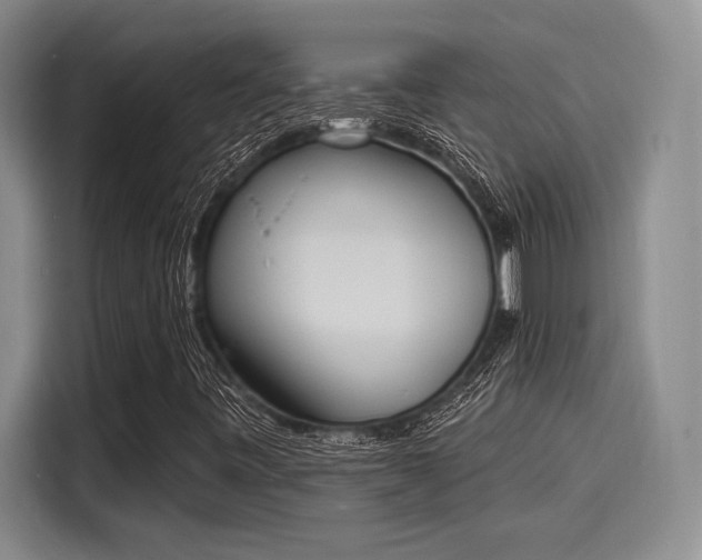 X0000116151443200911301531