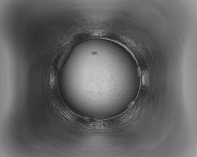 X0000116151444200911301531