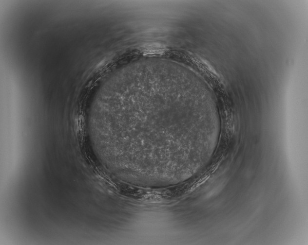 X0000116151445200911301531