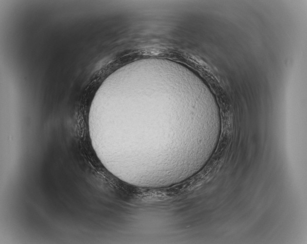 X0000116151446200911301531