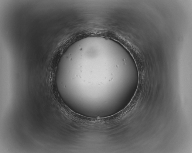 X0000116151447200911301531