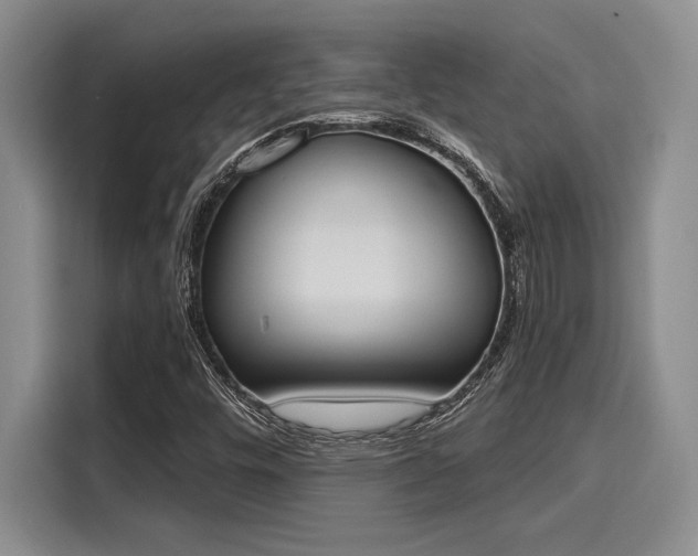 X0000116151448200911301531