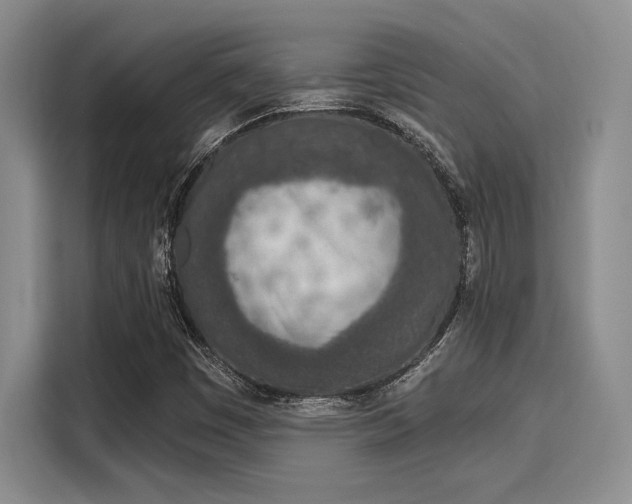 X0000116151449200911301531