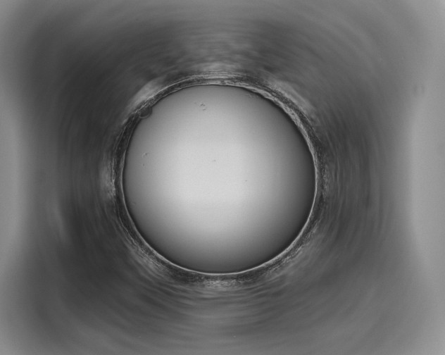 X0000116151451200911301531