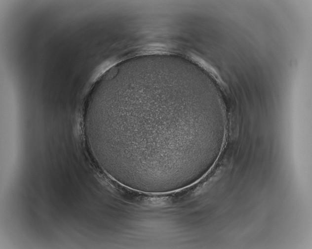 X0000116151453200911301531