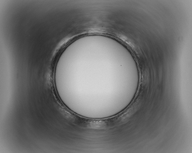 X0000116151454200911301531