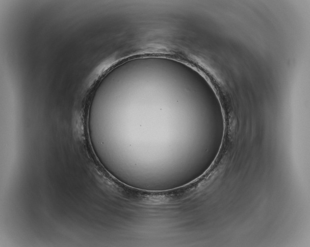 X0000116151455200911301531