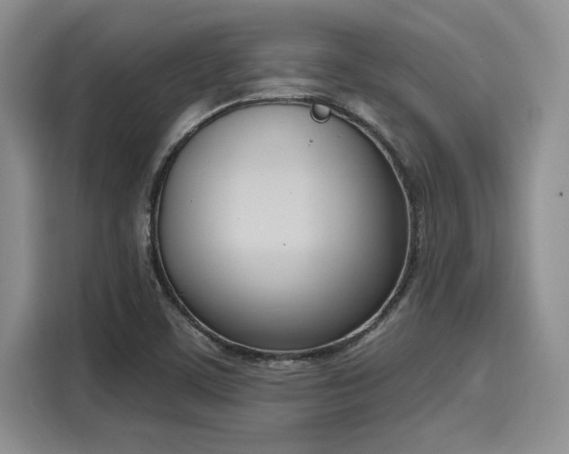 X0000116151459200911301531