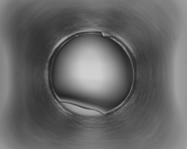 X0000116151460200911301531