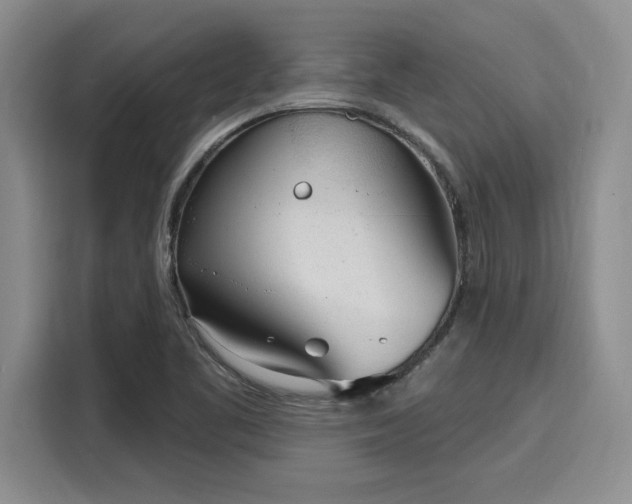 X0000116151461200911301531