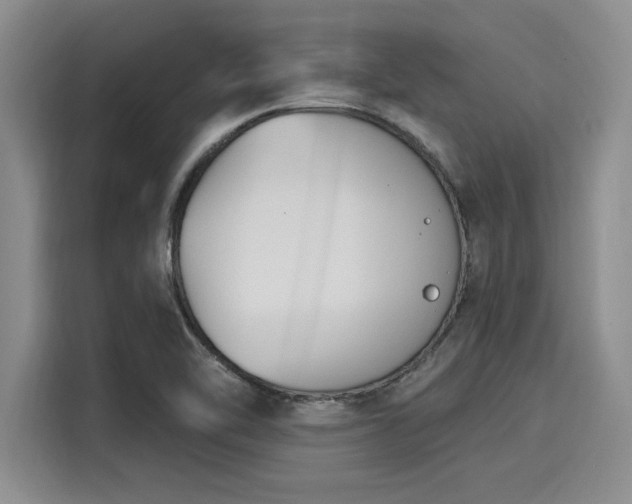 X0000116151462200911301531