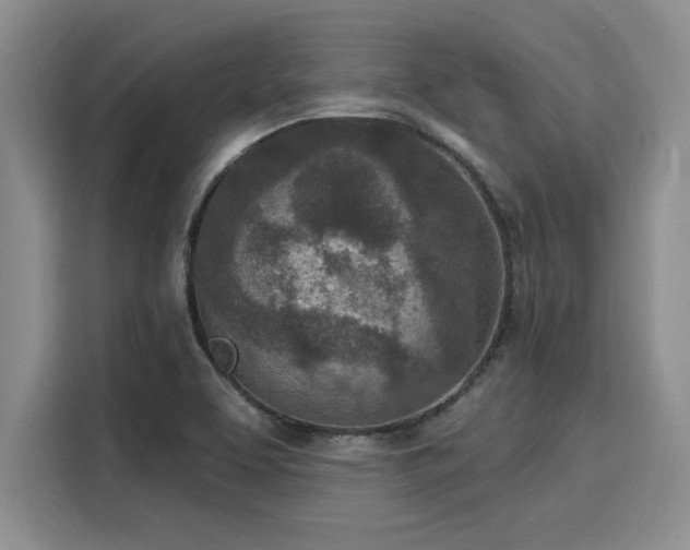 X0000116151463200911301531