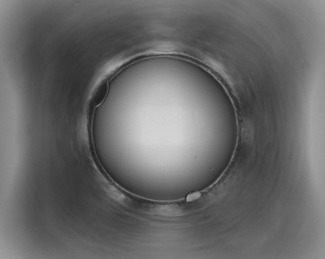 X0000116151464200911301531