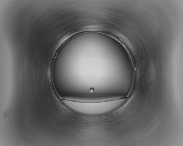 X0000116151465200911301531