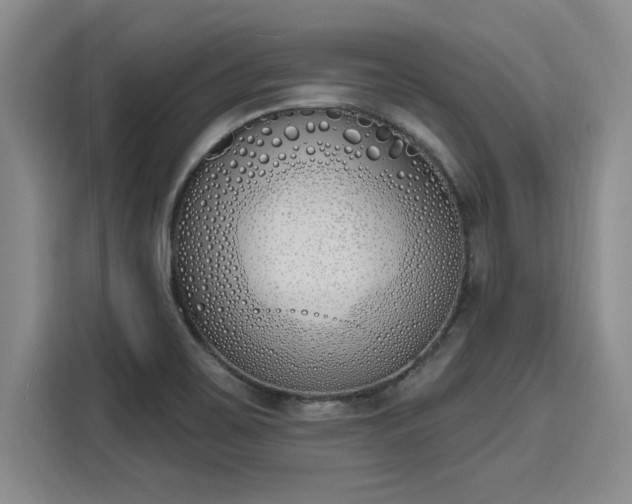 X0000116151467200911301531