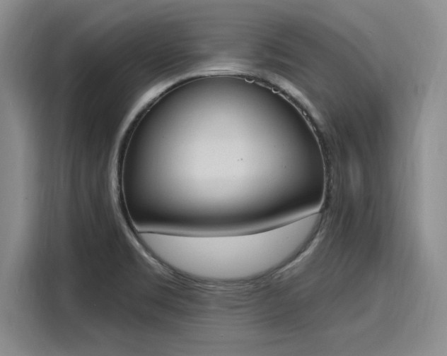 X0000116151469200911301531