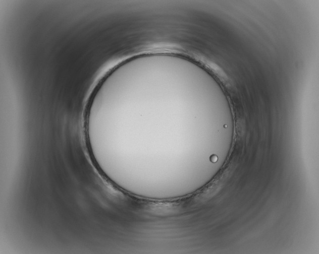 X0000116151470200911301531