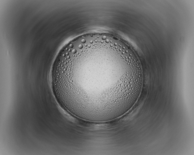 X0000116151471200911301531