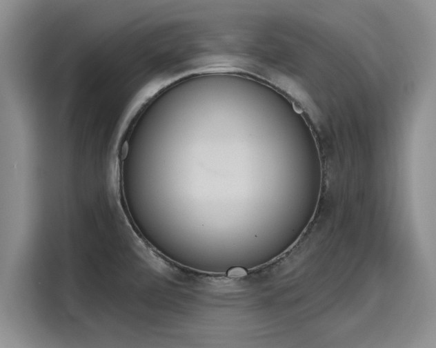 X0000116151472200911301531