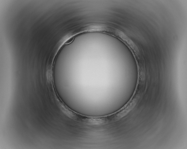 X0000116151473200911301531