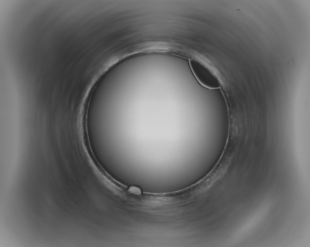 X0000116151475200911301531