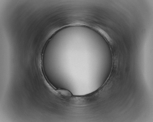 X0000116151476200911301531