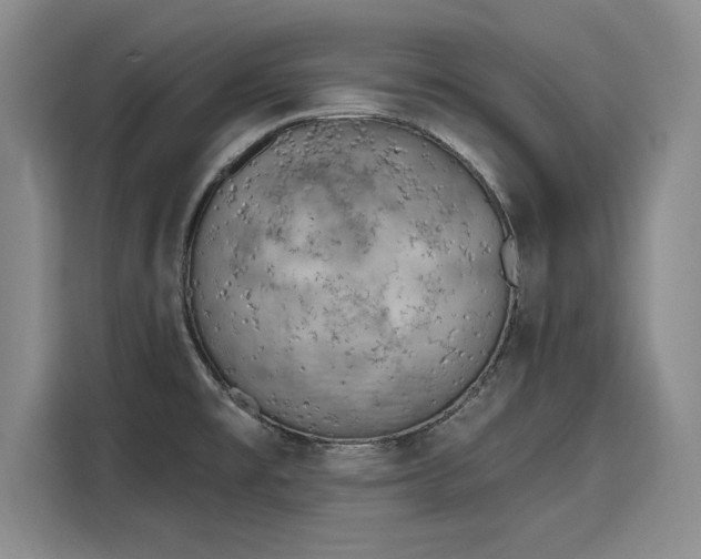 X0000116151477200911301531