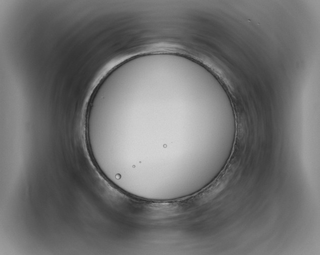 X0000116151478200911301531