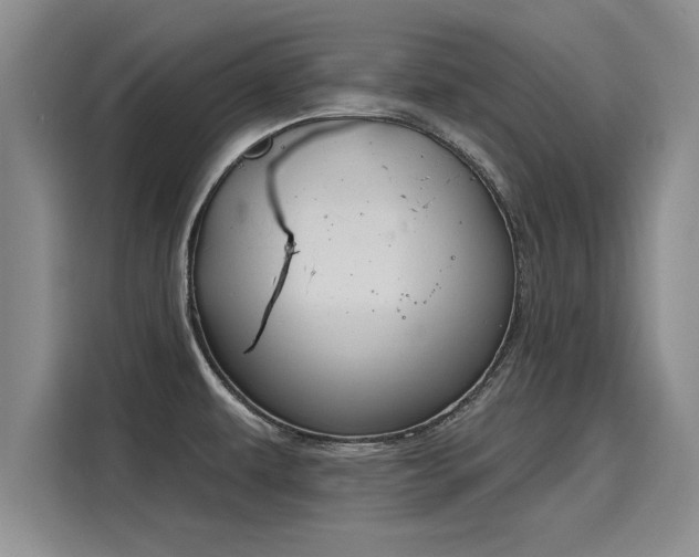 X0000116151479200911301531