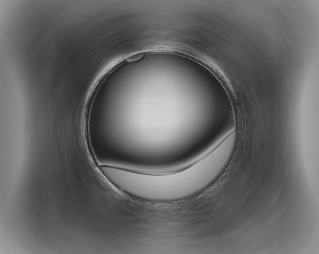 X0000116151480200911301531