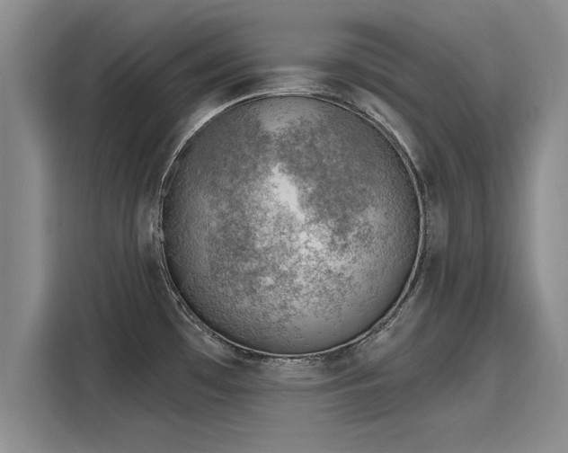 X0000116151481200911301531