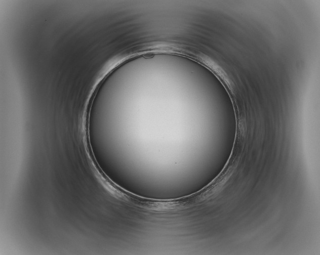 X0000116151482200911301531