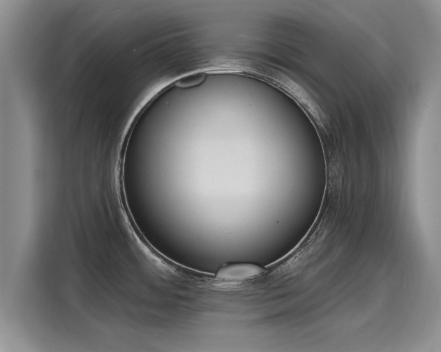 X0000116151484200911301531