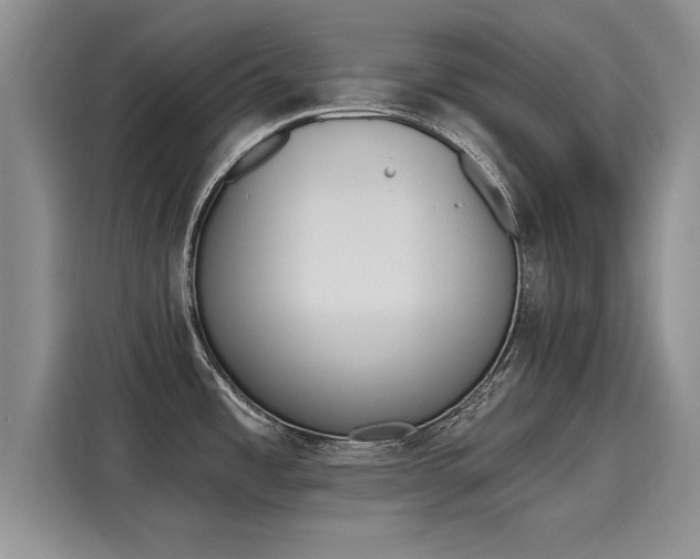 X0000116151485200911301531