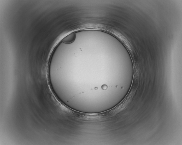 X0000116151486200911301531