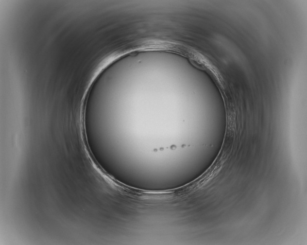 X0000116151487200911301531