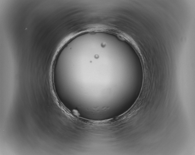 X0000116151488200911301531