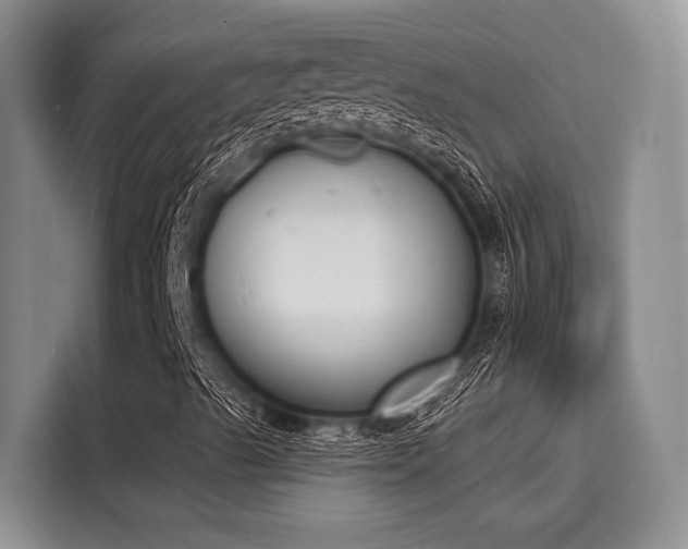 X0000116151489200911301530