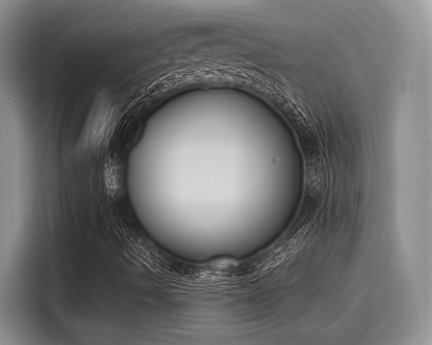 X0000116151490200911301530