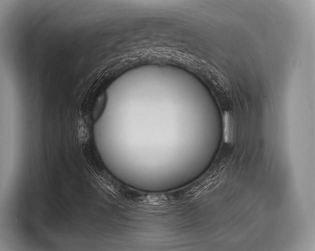 X0000116151491200911301530