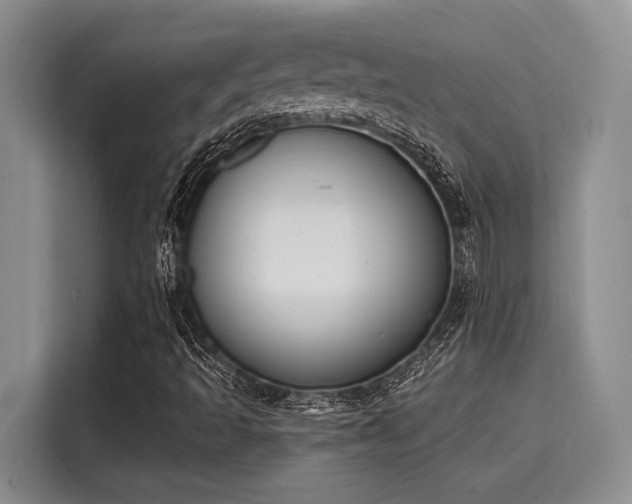 X0000116151493200911301530