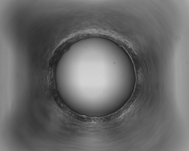 X0000116151494200911301530