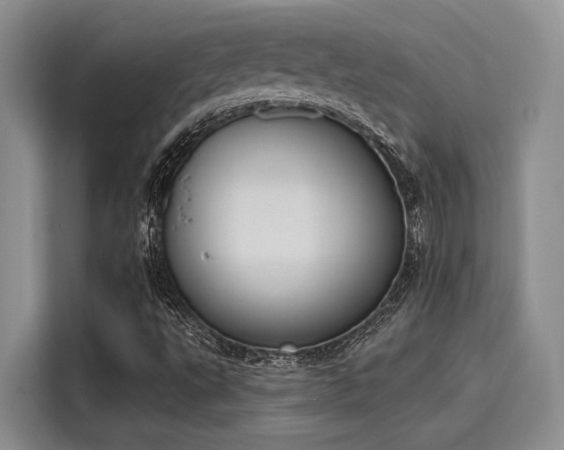 X0000116151495200911301530