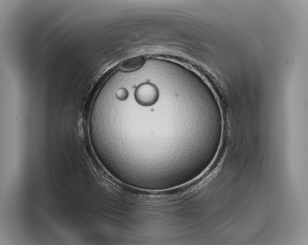 X0000116151497200911301530