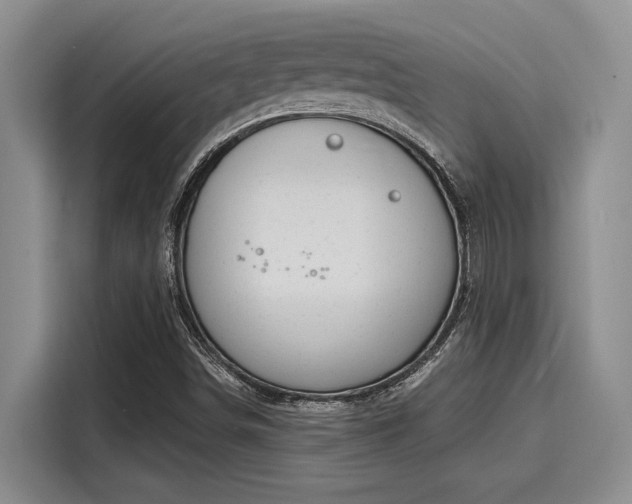 X0000116151498200911301530