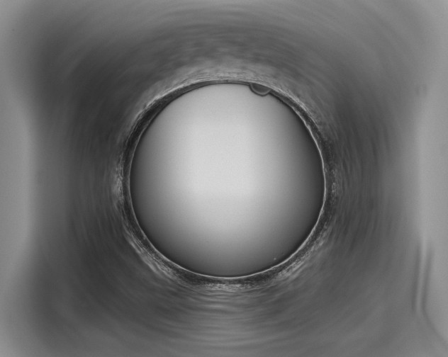 X0000116151499200911301530