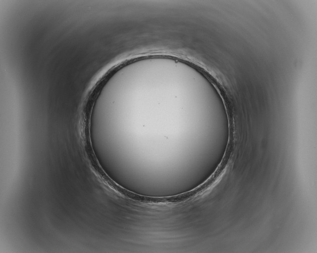 X0000116151502200911301530