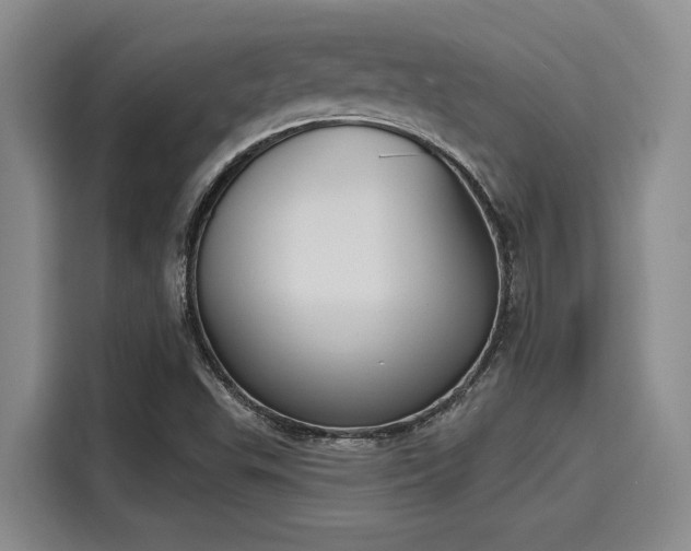 X0000116151503200911301530