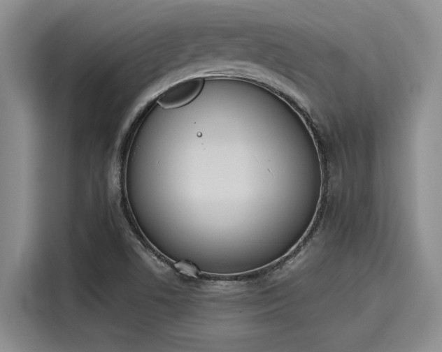 X0000116151506200911301530