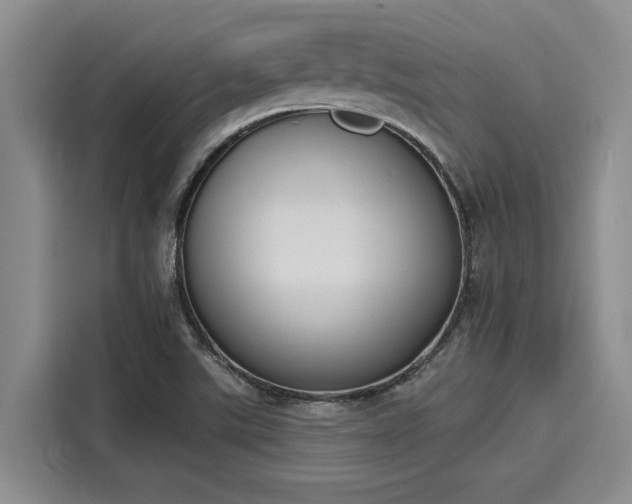 X0000116151507200911301530